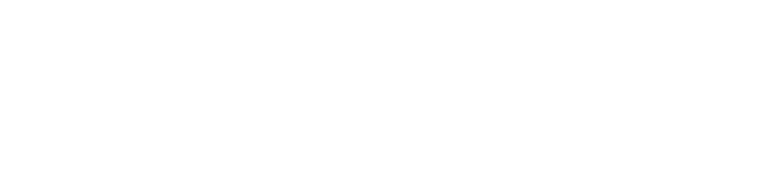 Logo AMB